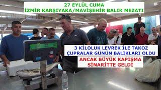 27 EYLÜL 2024 MAVİŞEHİR BALIK MEZATINDA SİNARİTTE KAPIŞMA BÜYÜK OLDU.