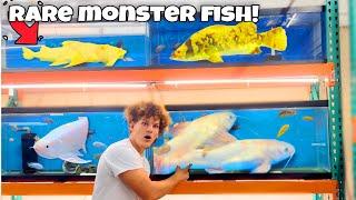 I Found RARE MONSTER FISH For My AQUARIUM