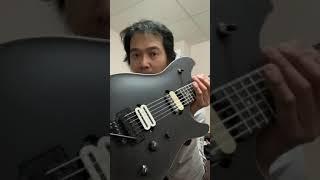 EVH wolfgang special  UPGRADEmodification