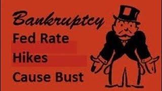 Danielle DiMartino Booth Fed Rate Hikes About To Cause Lots More Bankruptcies & Real Estate Bust?