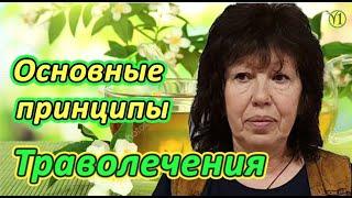 Основы траволечения Православный Травник Елена Григорьевна Терехина видео 222