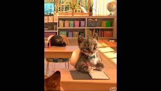 Little Kitten Preschool Adventure #shorts