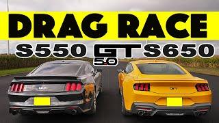 2024 Mustang GT S650 vs S550 Ford Mustang GT more for less? Drag and Roll Race.