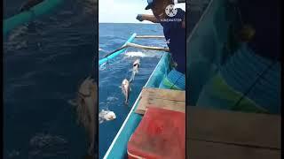 VIRAL STRIK...MANCING DASARAN GUNAKAN MATA KAIL 10 BIJI#fishing