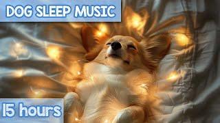 EXTRA-RELAXING Music for Dogs  Eliminate Separation Anxiety