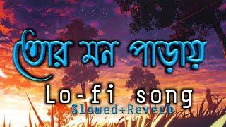 Tor mon paray তোর মন পাড়ায়  Bengali lofi song  slowed+Reverb