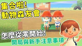 【集合啦！動物森友會】遊戲攻略｜新手第一天該做什麼？｜如何刷開局｜基礎操作與注意事項（予樂）