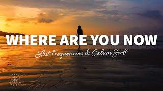 Lost Frequencies & Calum Scott - Where Are You Now Lyrics