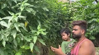 organic Farming Kinnaur Part-2 🪴