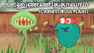 ஊனுண்ணித் தாவரம்  Carnivorous Plants  Dr. Binocs Tamil  Educational Videos For Kids