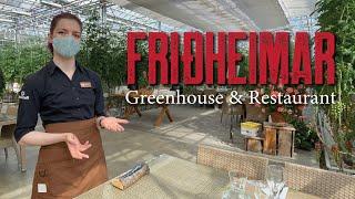 Tour of Friðheimar Greenhouse & Restaurant