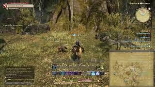 FINAL FANTASY XIV Machinist lv 55 #05 free lv 60 Games Play