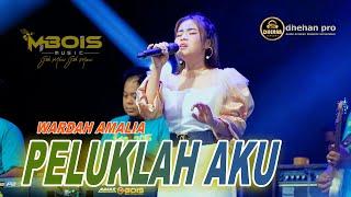 WARDA AMALIA - Peluklah Aku Viral TikTok Mbois Music Ft Dhehan Jenggot Audio