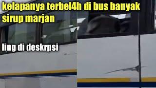 viral Kelapa terb3l4h Di bus b4nyak sirup marjan