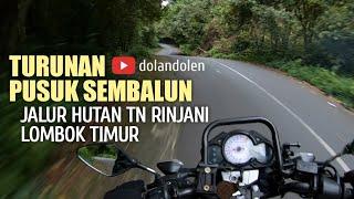 TURUNAN PUSUK SEMBALUN Jalur Hutan TN Rinjani Lombok Timur