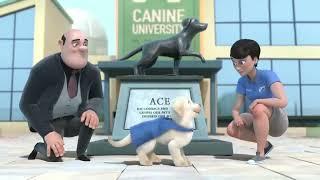 PIP Interesting Animated Movie To Watch by Southeastern Guide Dogs
