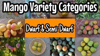 Mango Variety Groupings  Dwarf & Semi-Dwarf Mangos