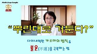 요가명상 팔자 타령 하게 만드는 카르마업의 법칙—다이내믹한 카르마의 법칙 & 불운을 극복하는 법