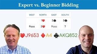 How beginner intermediate and expert players might bid this bridge hand differently