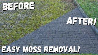 How to Clear Moss without Chemicals the Easy Way.