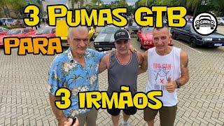 IRMANDADE PUMA 3 PUMAS GTB para 3 IRMÃOS - História de família unida pela paixão por carros antigos