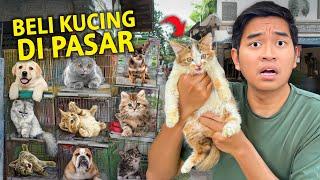 PERTAMAKALI BELI KUCING DI PASAR TERBESAR DI YOGYAKARTA AKHIRNYA PELIHARA KUCING?