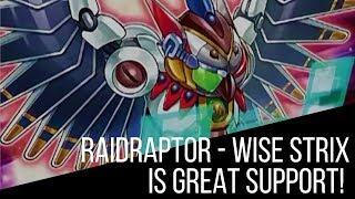 Raidraptor - Wise Strix is Powerhouse Support