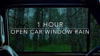 Open Car Window Rain - Rain On Car - Forest Rain - 1 hour Rain Sounds for Sleeping