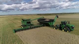 Harvest 2019  4K  Canada