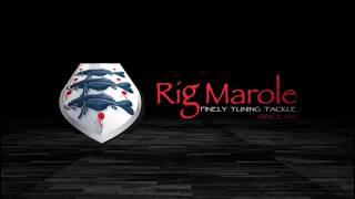 Rigmarole -The Ronnie Rig * carp fishing *