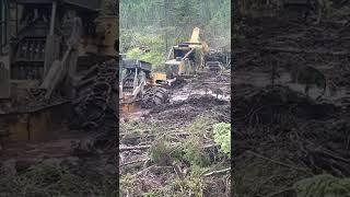 The CAT 555D pull the Tigercat 635H XTrême logging