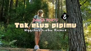 DANSA PORTU TAK ELUS PIPIMU NGGINUS LEBU FT HER LABA REMIX