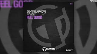 Sentinel Groove - Feel Good