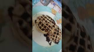 Chocolate Waffles #music #waffles