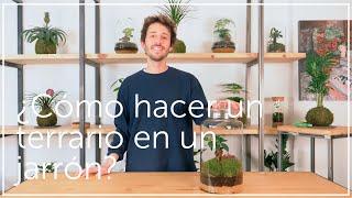 ¿Cómo hacer un terrario en un jarrón?