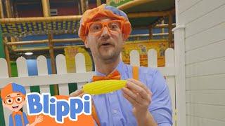 Billy Beez - Colors - Blippi  Learning Videos For Kids  Education Show For Toddlers