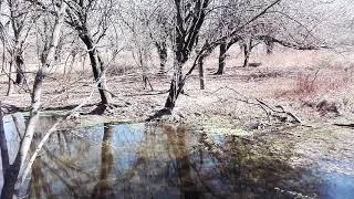 Caminata en cuarentena- video número 6 de 6