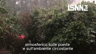 Bomba dacqua a Sesto San Giovanni