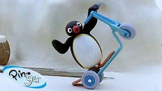 Pingus New Skills   Pingu - Official Channel  Cartoons For Kids