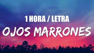 Lasso - Ojos Marrones 1 HORA Letra