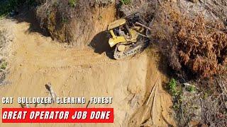 The Largest Caterpillar Bulldozer D6R XL Opening Forest Dozer Working in Mountain