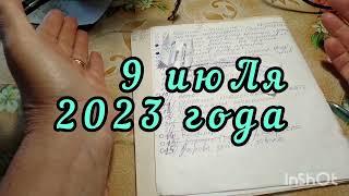 №459. Я это сделалаСтранички дачного дневника9 июля 2023