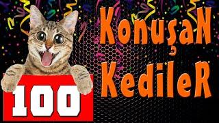 Konuşan  Kediler 100 - En Komik Kedi Videoları