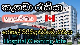 කැනඩා රෝහල් පිරිසිදු කිරීමේ රැකියා. වැටුප් ලක්ෂ 11 යි. සුදුසුකම් එපා Hospital cleaning foreign jobs