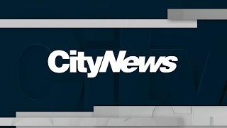Watch CityNews Toronto the winner of Best Local Newscast at the 2020 Canadian Screen Awards