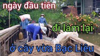 ngày đầu tiên đi làm lại ở cây gừa Bạc Liêu cuộc sống người miền tây