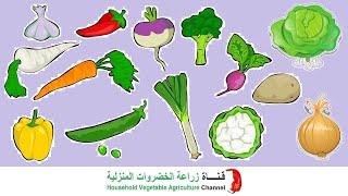 الخضروات الشتوية ومواعيد الزراعة والانبات  مواعيد زراعة الخضروات الشتوية
