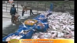 เครื่องมือจับปลาแบบใหม่ในเวียดนาม