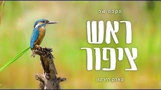 מרכז הצפרות ראש ציפור  פארק הירקון - גני יהושע