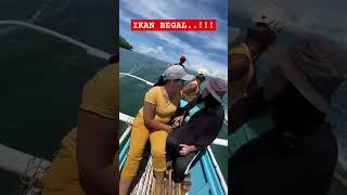 AWAS.. IKAN JENIS BARU DITEMUKAN.. BIASA MEMBEGAL BARANG WISATAWAN...